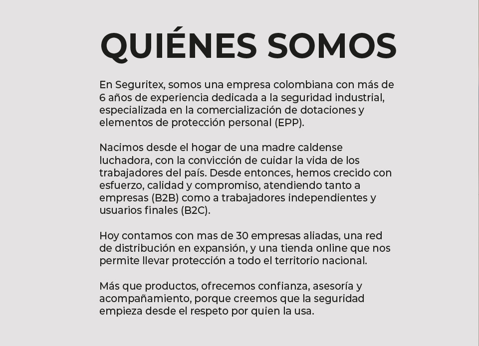 pagina web seguritex-03 (2)